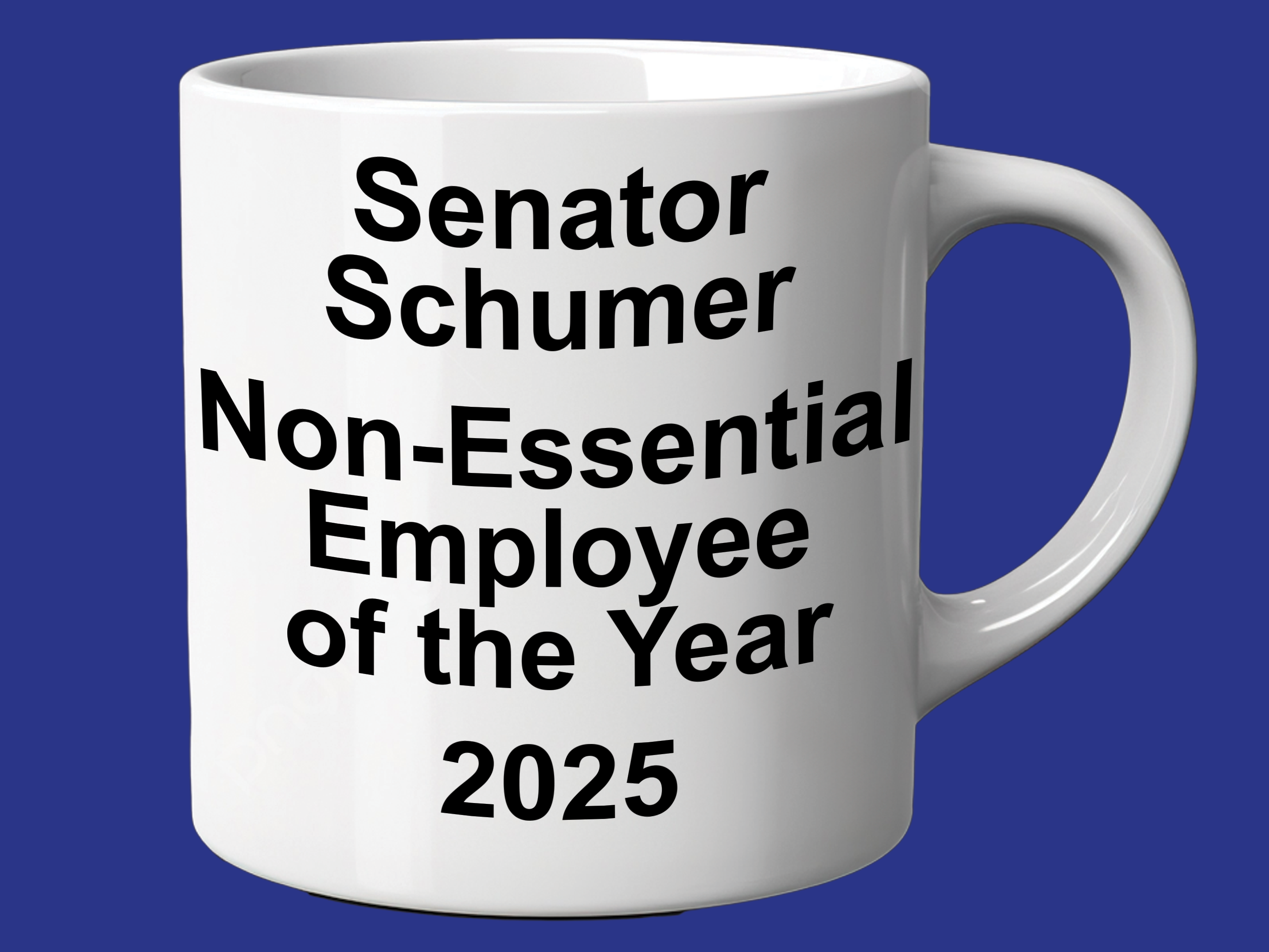 Government Shutdown Mug