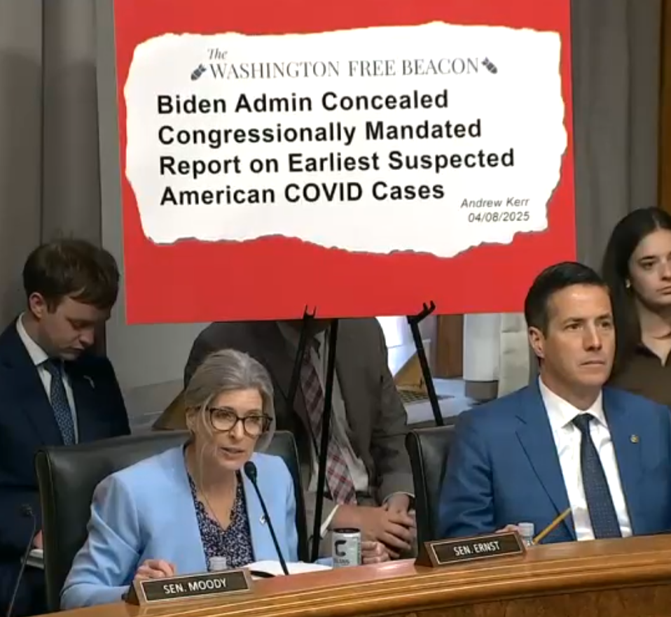 HSGAC covid hearing pic