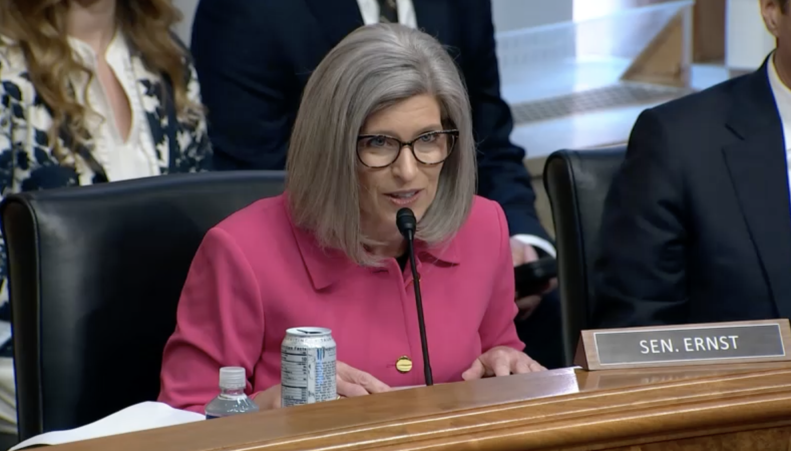 HSGAC hearing pic