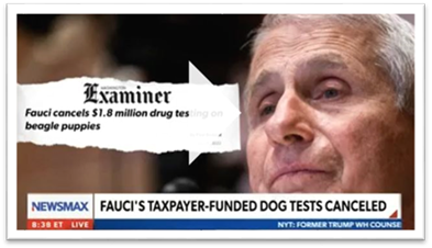 newsmax